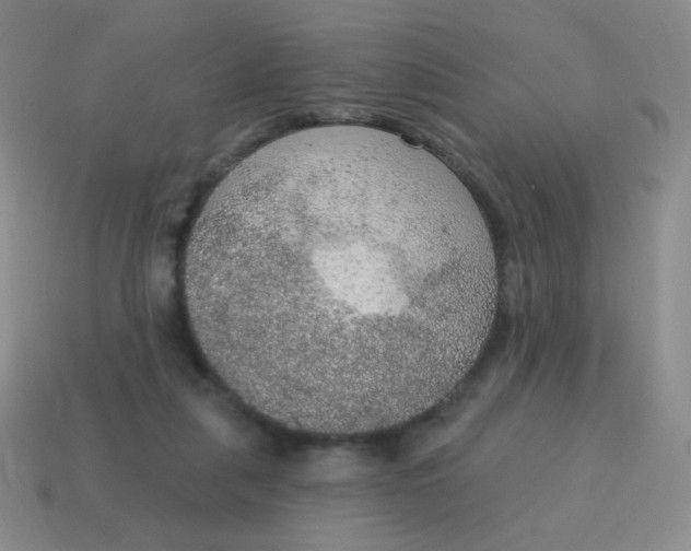 X0000115070259200911101309