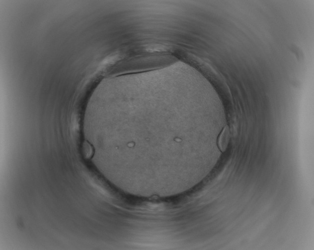 X0000115070260200911101309