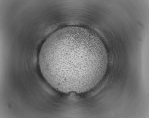 X0000115070261200911101309