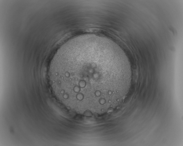 X0000115070263200911101309
