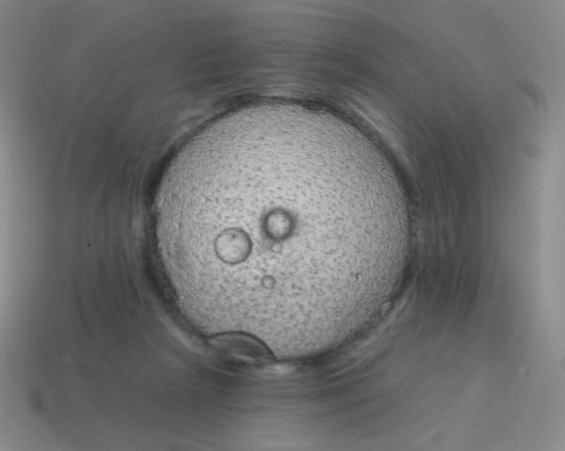 X0000115070265200911101309