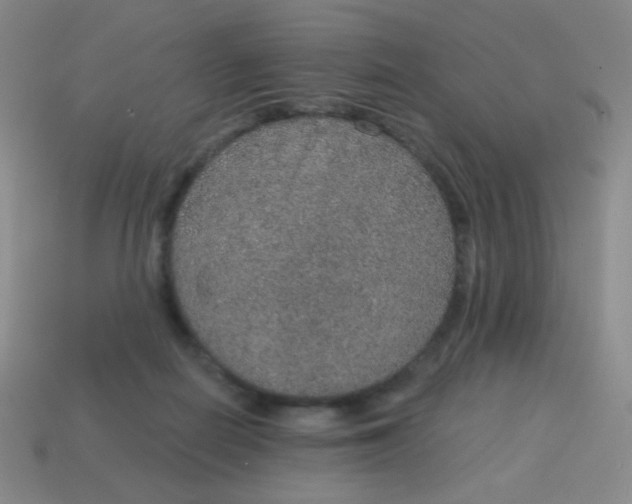 X0000115070266200911101309