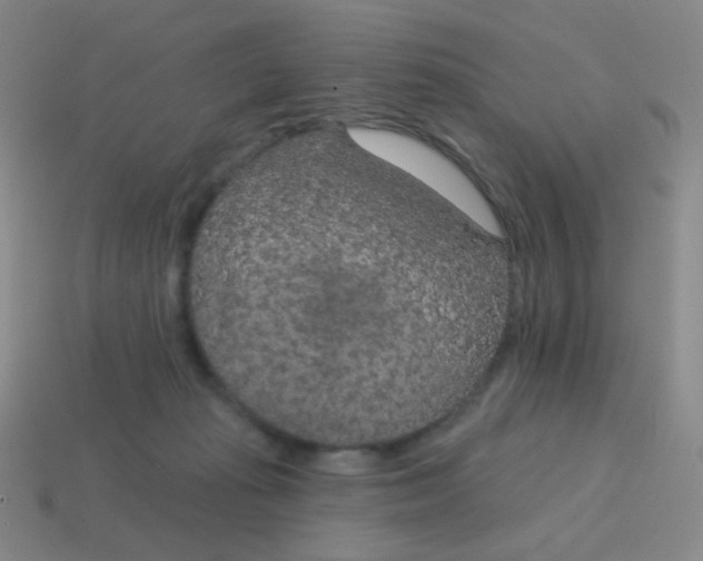X0000115070269200911101309