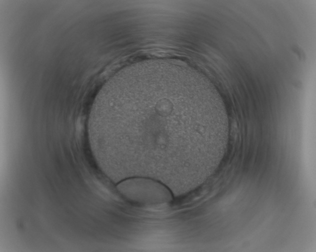 X0000115070271200911101309