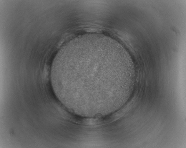 X0000115070273200911101309