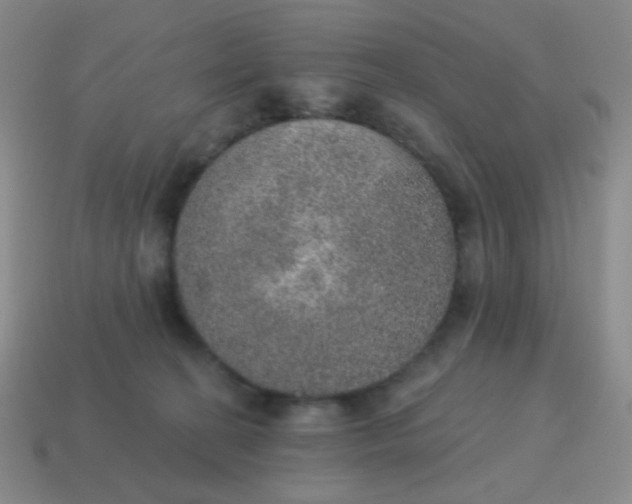X0000115070274200911101309