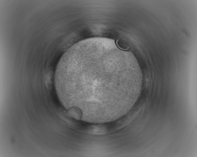 X0000115070275200911101309