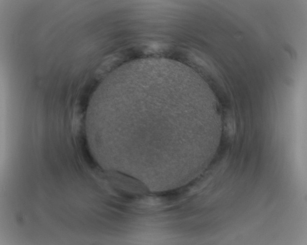 X0000115070276200911101309