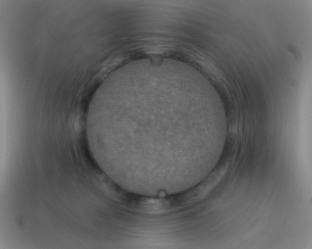 X0000115070277200911101309