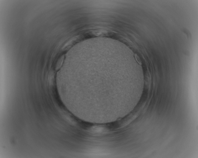 X0000115070280200911101309