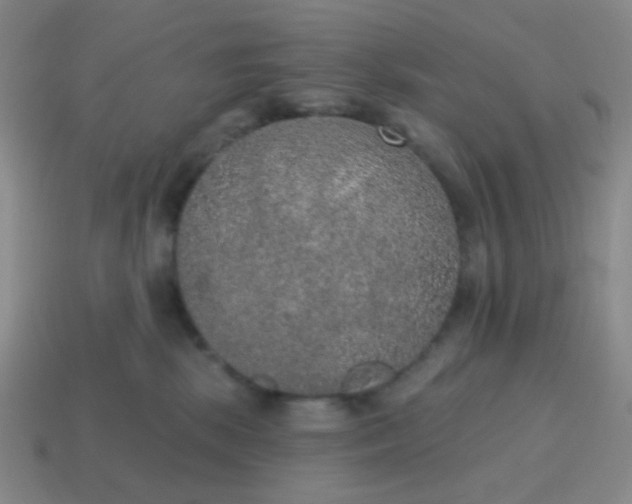 X0000115070281200911101309
