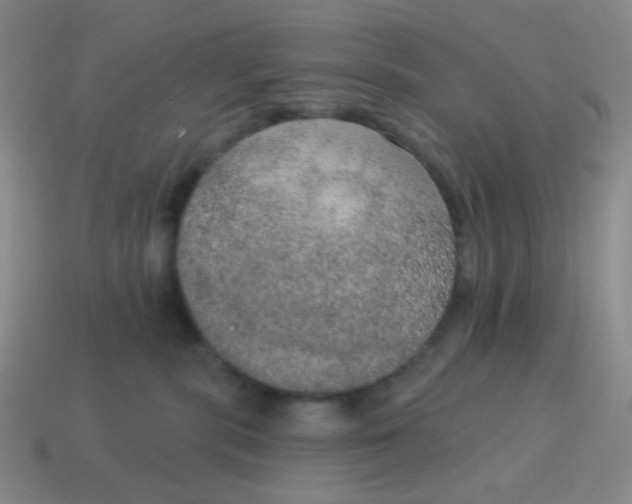 X0000115070283200911101309