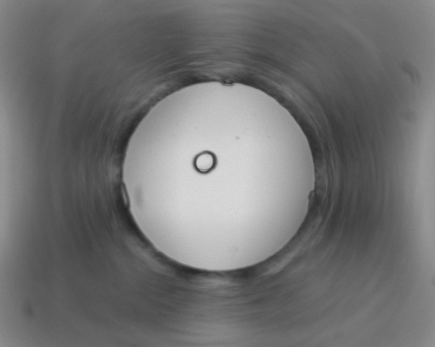 X0000115070284200911101309