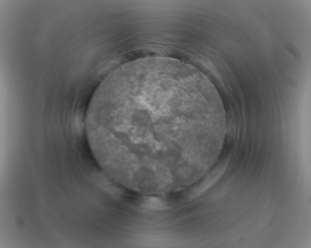 X0000115070285200911101309