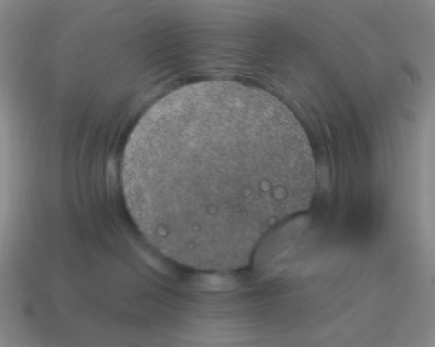X0000115070286200911101309
