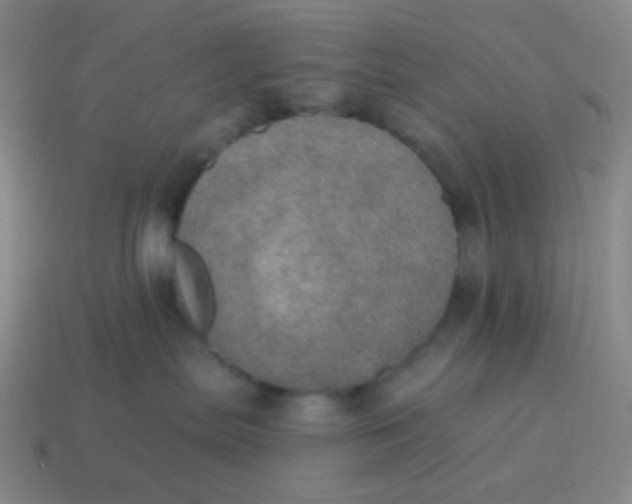 X0000115070287200911101309