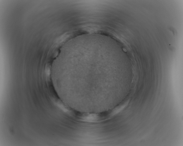 X0000115070288200911101309