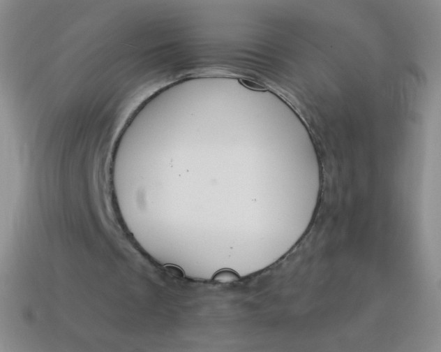 X0000115070289200911101309