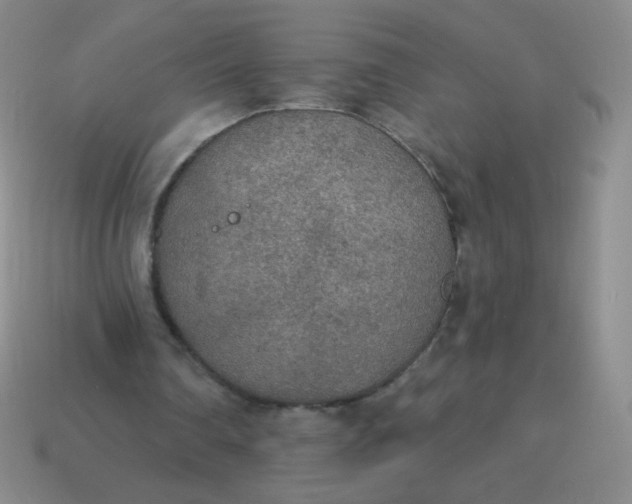 X0000115070290200911101308