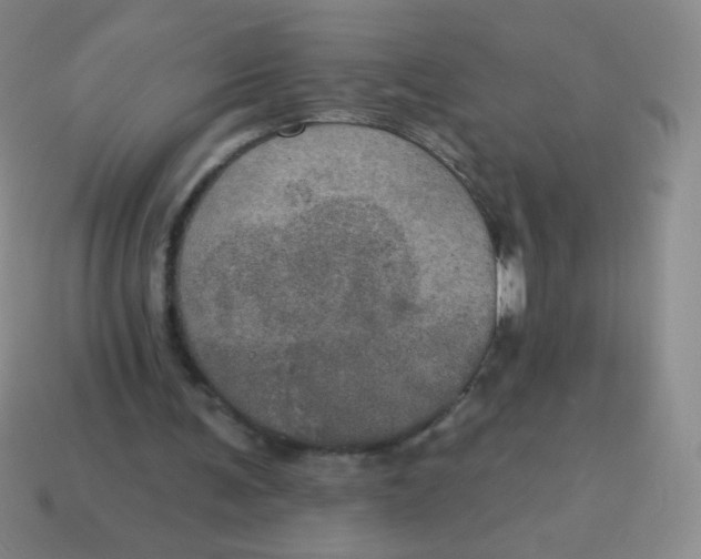 X0000115070291200911101308