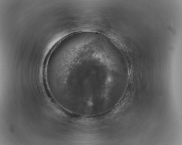 X0000115070292200911101308