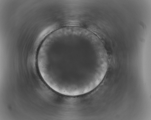 X0000115070293200911101308
