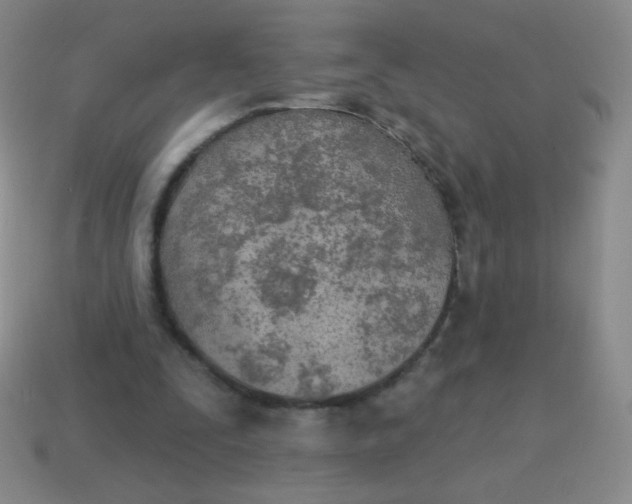 X0000115070295200911101308
