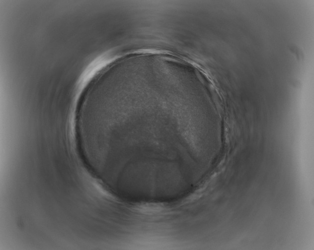 X0000115070296200911101308