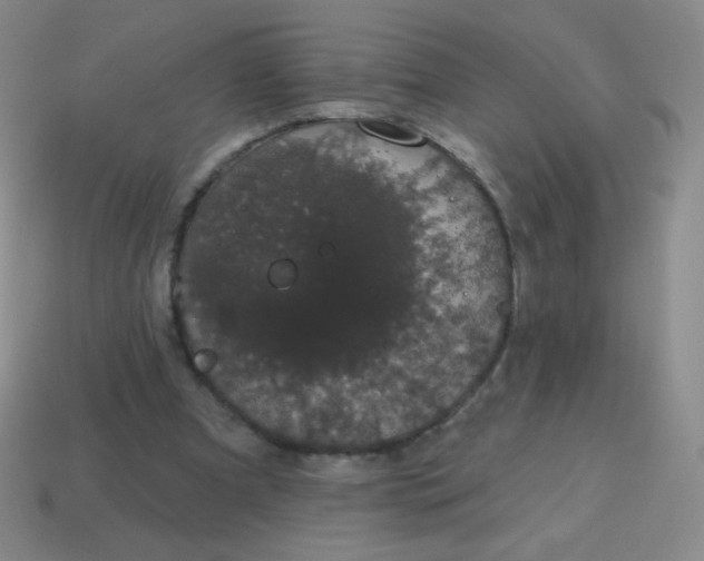 X0000115070297200911101308