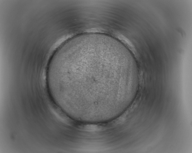 X0000115070298200911101308