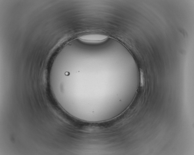 X0000115070300200911101308