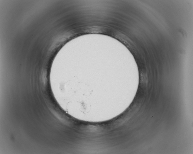 X0000115070302200911101308