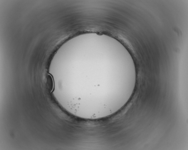 X0000115070305200911101308