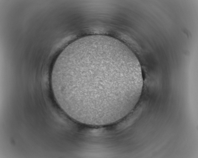 X0000115070306200911101308
