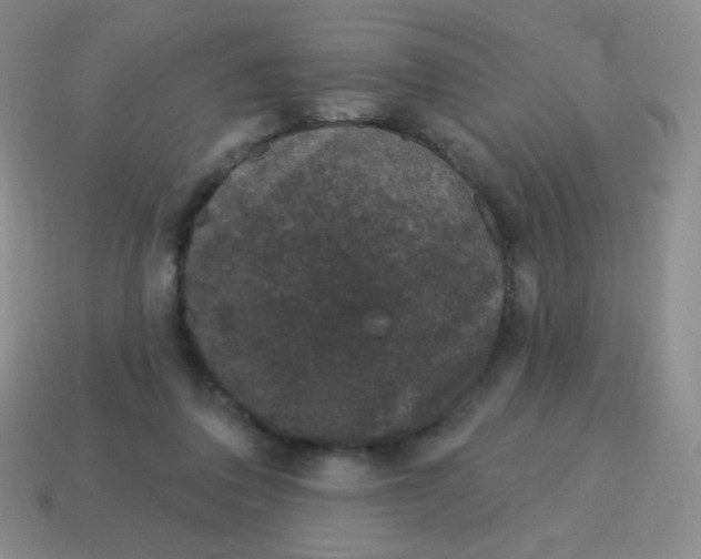 X0000115070308200911101308
