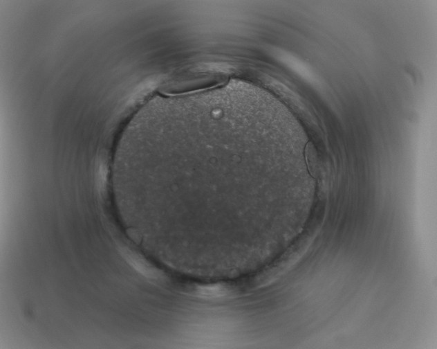 X0000115070309200911101308