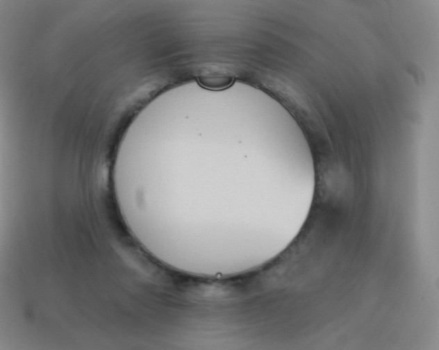 X0000115070310200911101308