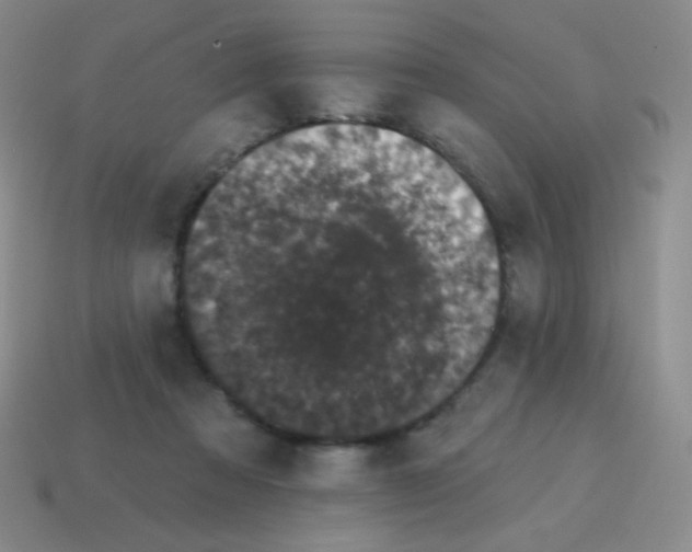 X0000115070313200911101308