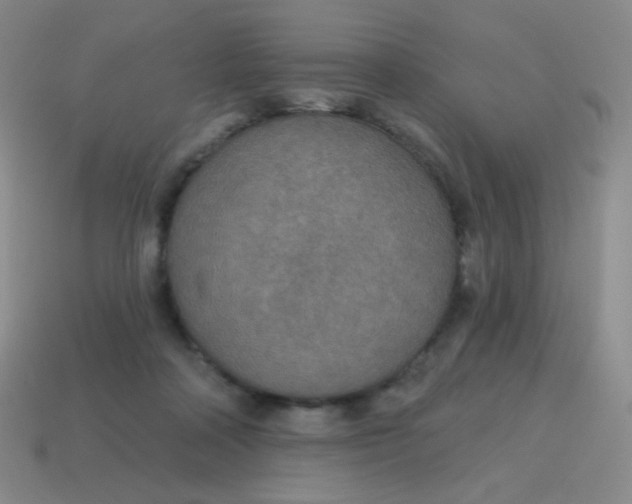 X0000115070314200911101308