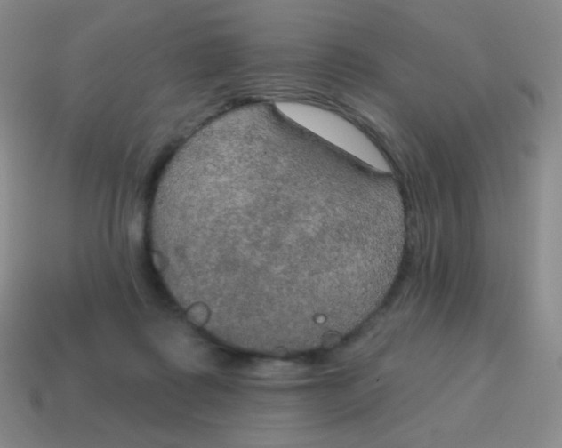 X0000115070315200911101308