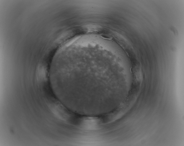 X0000115070316200911101308