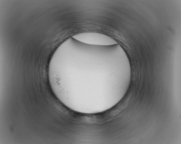 X0000115070317200911101308
