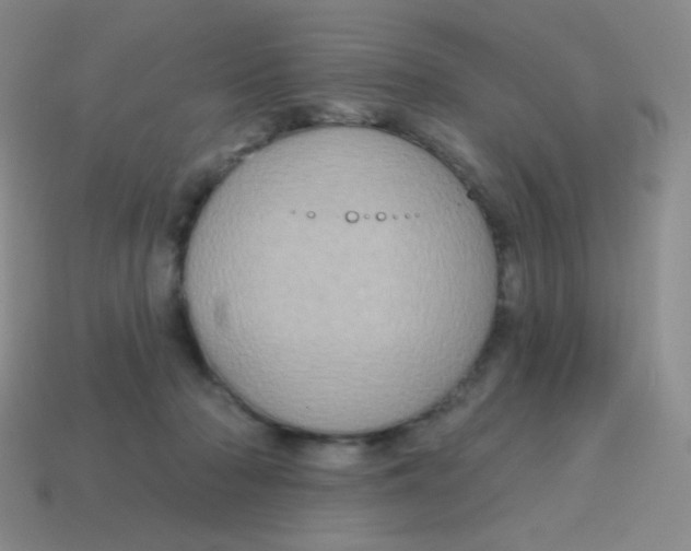 X0000115070318200911101308