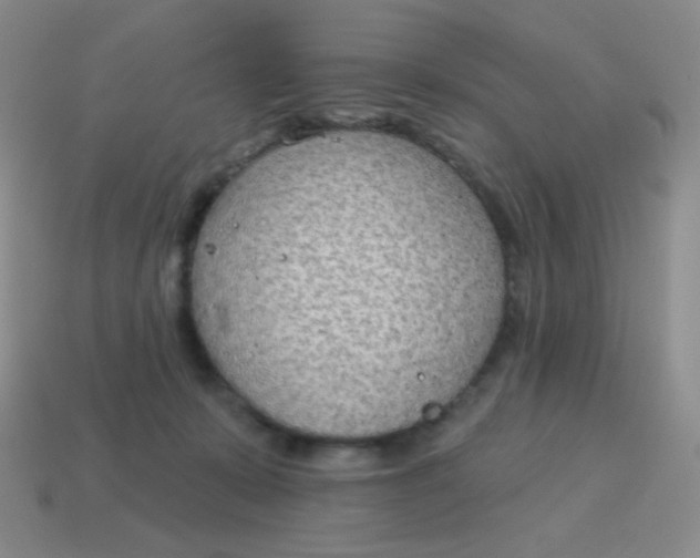 X0000115070319200911101308