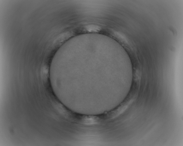 X0000115070321200911101308