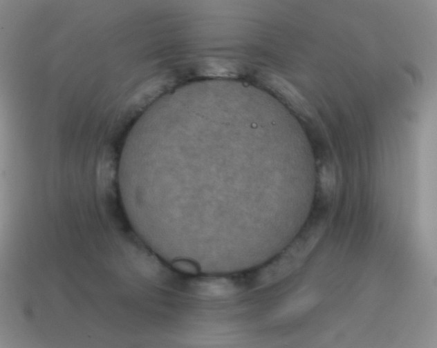 X0000115070322200911101308