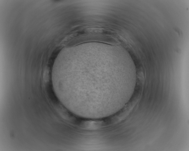 X0000115070323200911101308