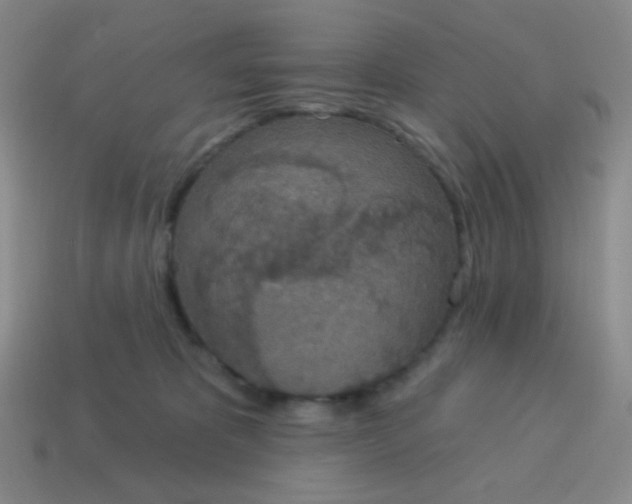 X0000115070325200911101308