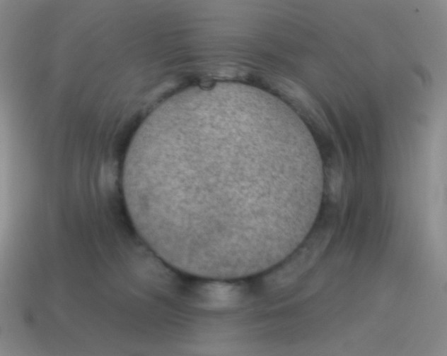 X0000115070326200911101308