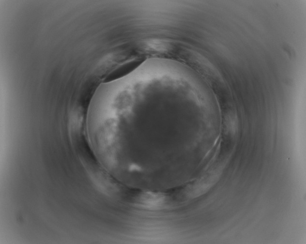 X0000115070328200911101308